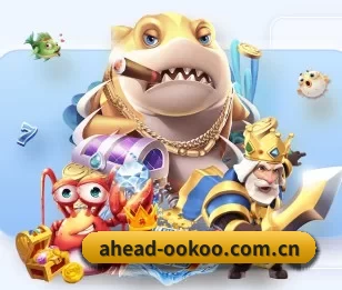 ahead-ookoo.com.cn的故事